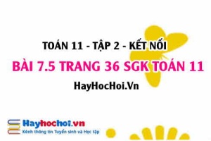 Bài 7.5 trang 36 Toán 11 tập 2 Kết nối tri thức